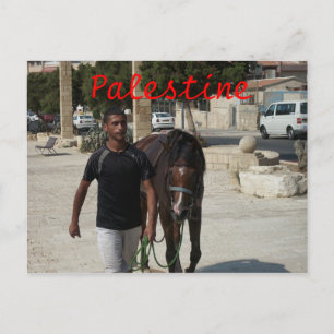 Cartão Postal Cavaleiro Palestiniano