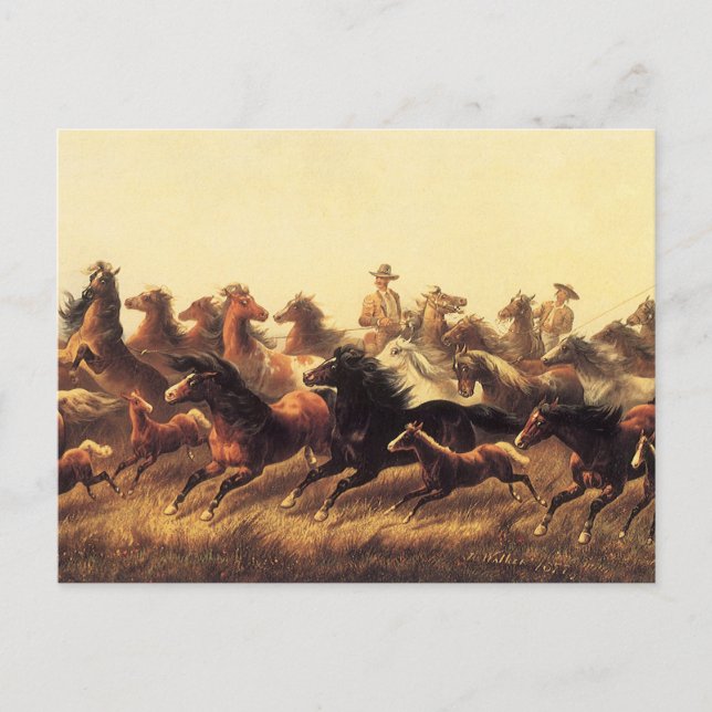 Cartão Postal Cavalgando Cavalos Selvagens por James Walker (Frente)