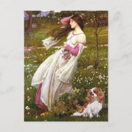 Cartão Postal Cavalier 2 (Bl) - Windflowers
