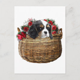 Cartão Postal Cavalier King Charles Spaniel