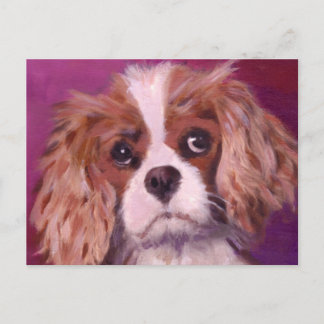 Cartão Postal Cavalier King Charles Spaniel