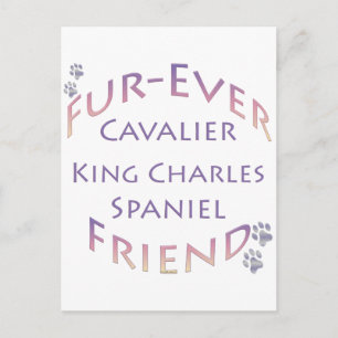 Cartão Postal Cavalier King Charles Spaniel Fuere