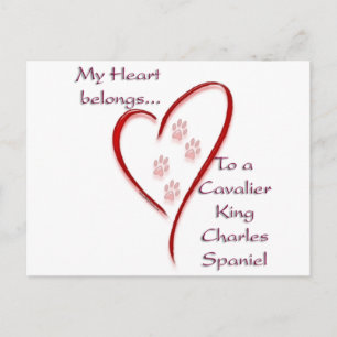 Cartão Postal Cavalier King Charles Spaniel Hearts pertence