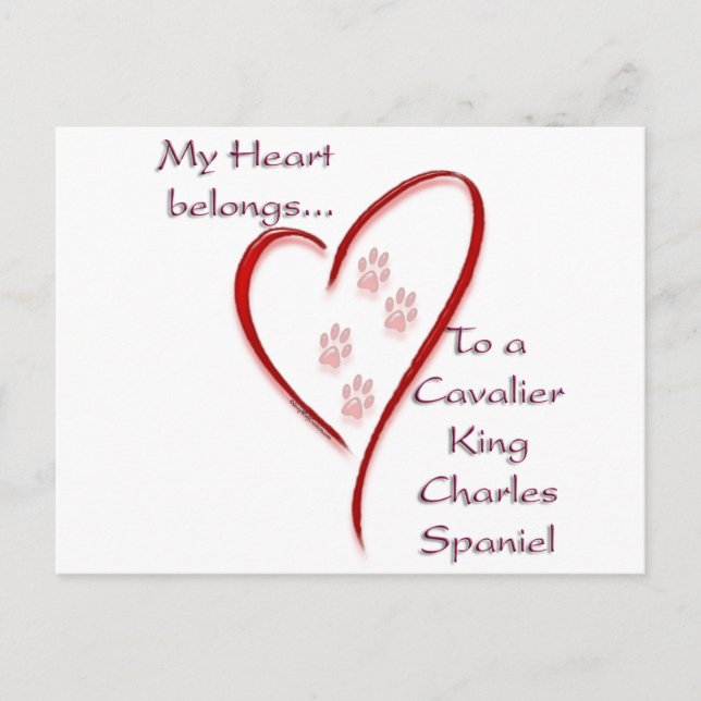 Cartão Postal Cavalier King Charles Spaniel Hearts pertence (Frente)