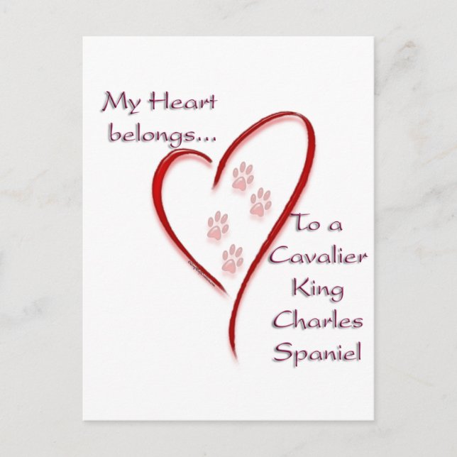 Cartão Postal Cavalier King Charles Spaniel Hearts pertence (Frente)