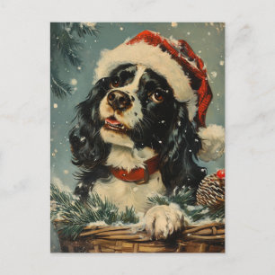 Cartão Postal Cavalier King Charles Spaniel Natal