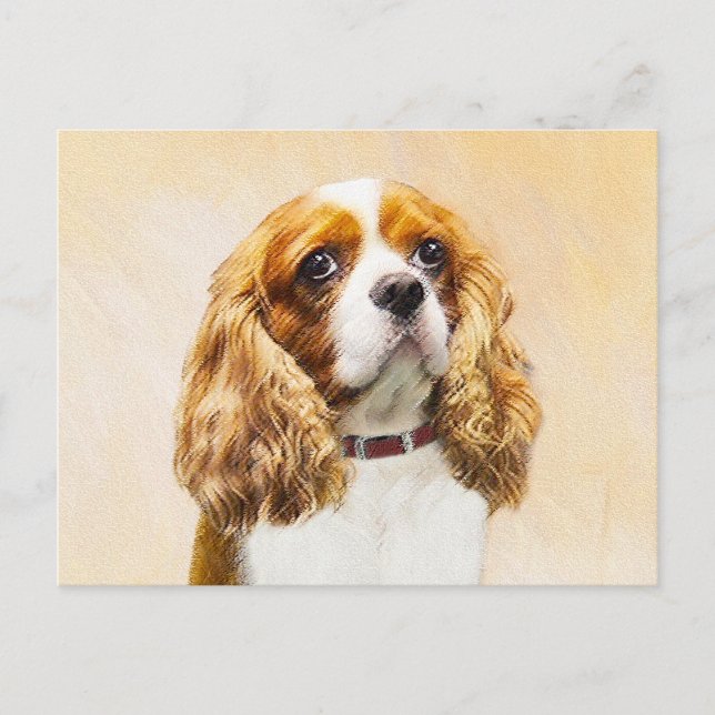 Cartão Postal Cavalier King Charles Spaniel Original (Frente)