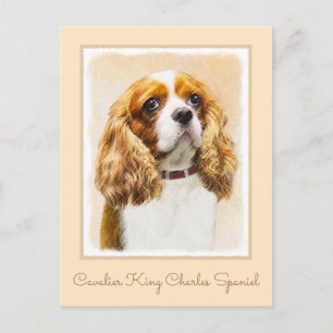 Cartão Postal Cavalier King Charles Spaniel Original