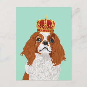 Cartão Postal Cavalier King Charles Spaniel para Dog Lovers