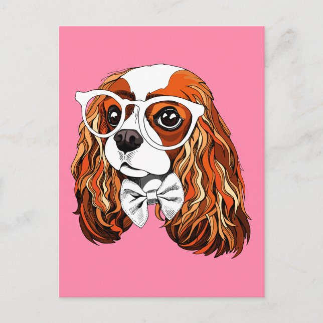 Cartão Postal Cavalier King Charles Spaniel Portrait (Frente)