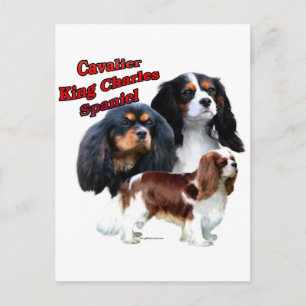 Cartão Postal Cavalier King Charles Spaniel Trio 2
