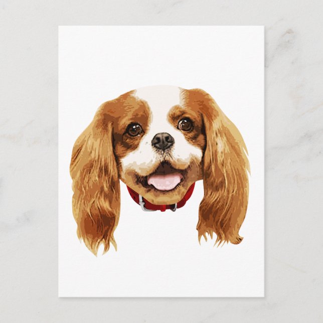 Cartão Postal CavalierKingCharlesSpaniel_Epagneul face002 (Frente)