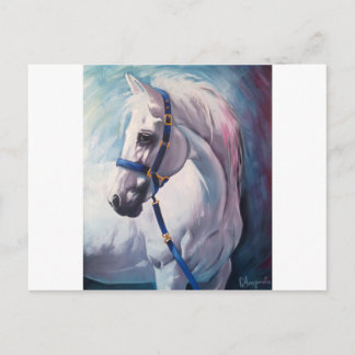 Cartão Postal Cavalo