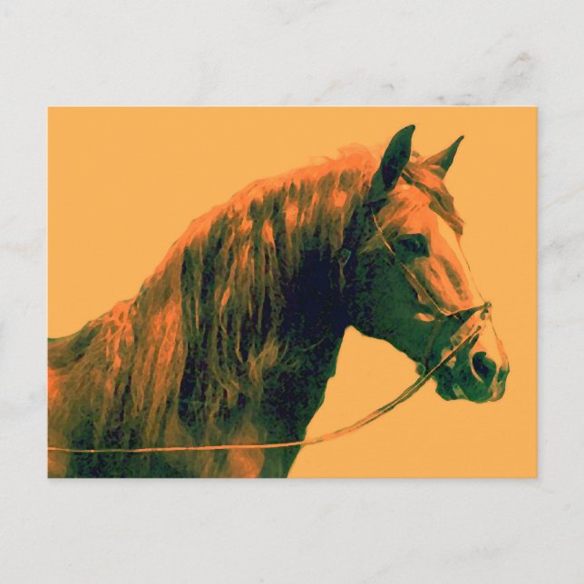 Cartão Postal Cavalo (Frente)