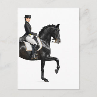 Cartão Postal Cavalo