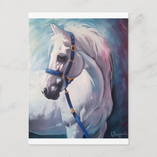 Cartão Postal Cavalo