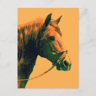 Cartão Postal Cavalo