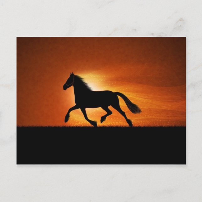 Cartão Postal cavalo (Frente)