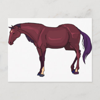 Cartão Postal cavalo