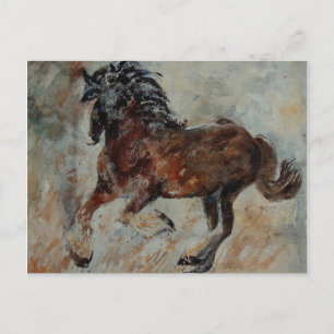 Cartão Postal cavalo561