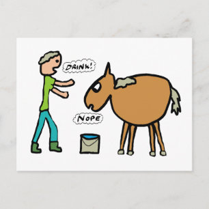 Cartão Postal Cavalo a Água