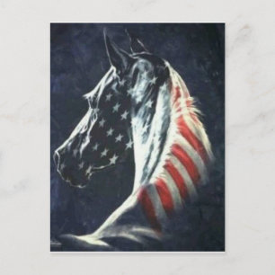 Cartão Postal Cavalo Americano
