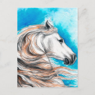 Cartão Postal Cavalo Andaluz