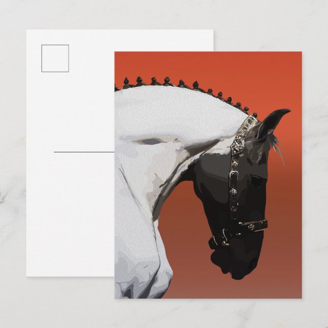 Cartão Postal Cavalo Andaluz Elegante - Arte Equestre Majestosa (Frente/Verso)