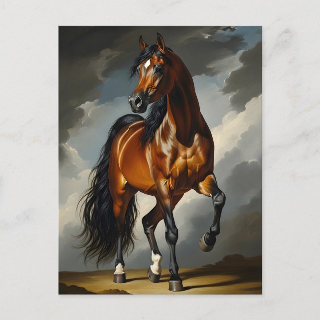Cartão Postal cavalo árabe (Frente)