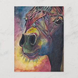 Cartão Postal Cavalo arco-íris