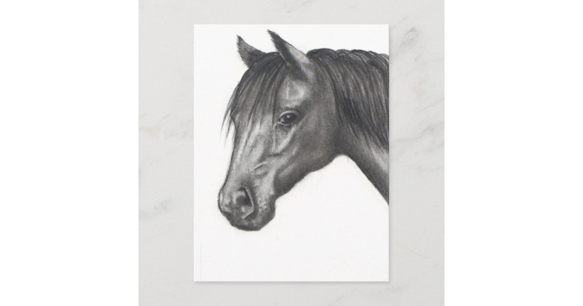 Desenho a lápis realista de um cavalo no papel