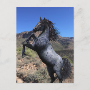 Cartão Postal Cavalo Blue Roan Empinando no Deserto Postcard