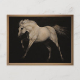 Cartão Postal Cavalo Branco