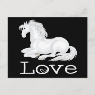 Cartão Postal Cavalo Branco Fofo Amor Equestre Cavalos Pônei