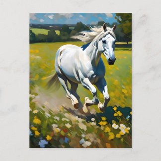 Cartão Postal Cavalo Branco sobre um Prado de Flores Selvagens