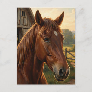 Cartão Postal Cavalo Castanho Celeiro da Hora Dourada