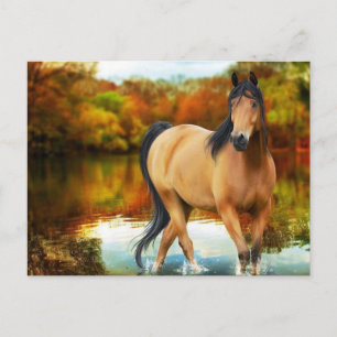Cartão Postal cavalo castanho, flores, árvore