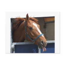 Cavalo Chestnut Cheio