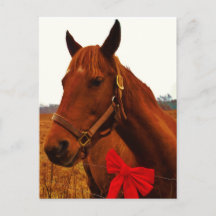 Cavalo com Laço Vermelho