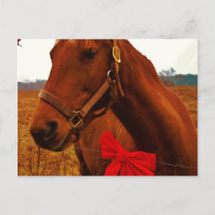 Cartão Postal Cavalo com Laço Vermelho