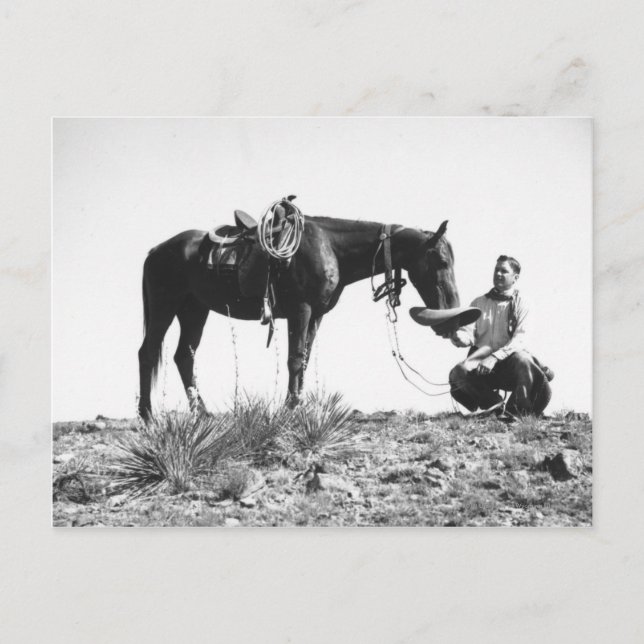 Cartão Postal Cavalo comendo do chapéu de um vaqueiro. (Frente)