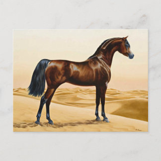 Cartão Postal Cavalo da mostra do adestramento