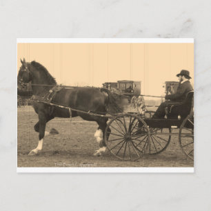 Cartão Postal Cavalo da Vintagem e Carruagem na Sépia