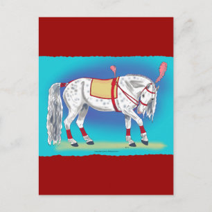 Cartão Postal Cavalo de Circo