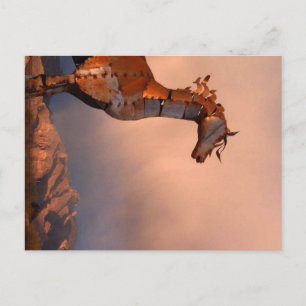 Cartão Postal "Cavalo de Ferro"