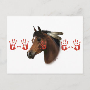 Cartão Postal Cavalo de Guerra