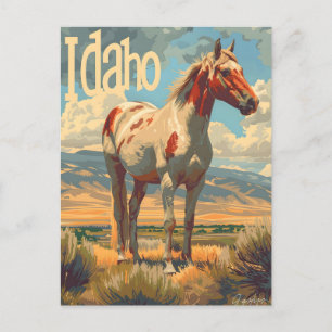 Cartão Postal Cavalo de Idaho Appaloosa