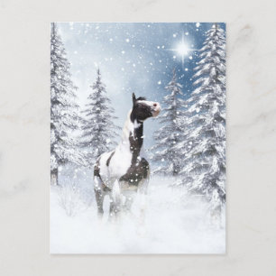Cartão Postal Cavalo de inverno