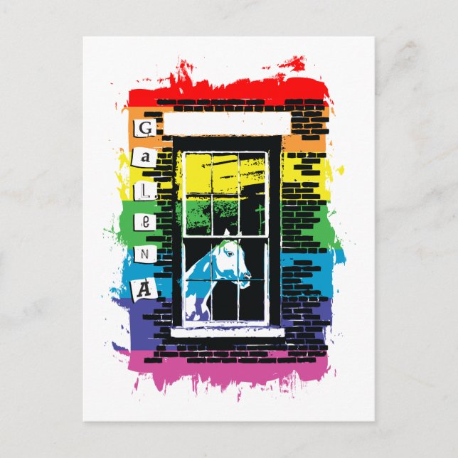 Cartão Postal cavalo de janela de arco-íris galena (Frente)