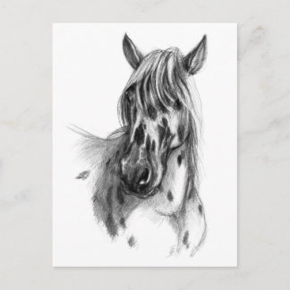Cartão Postal Cavalo-de-maca-leopardo sk127